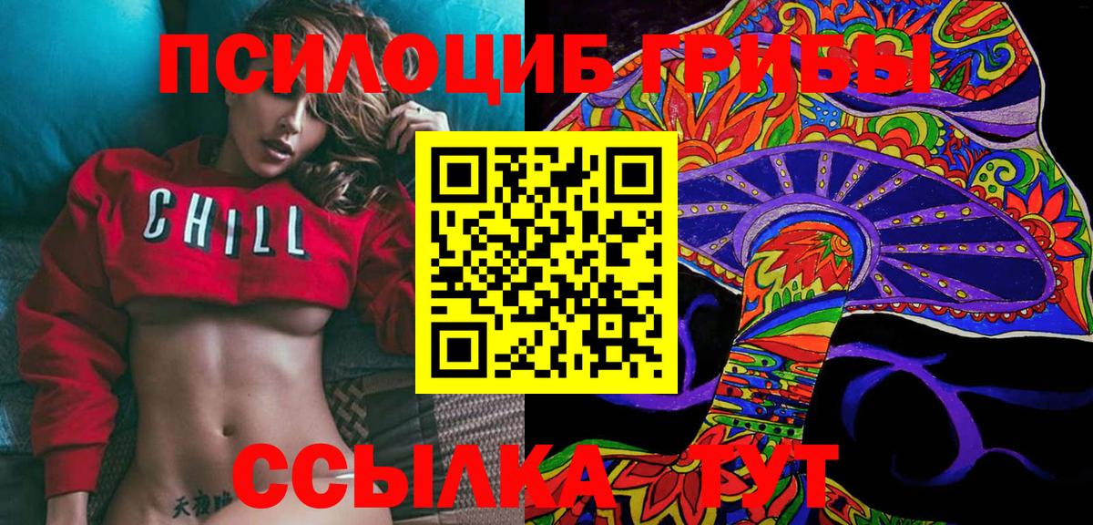 Галлюциногенные грибы Psilocybe Корсаков