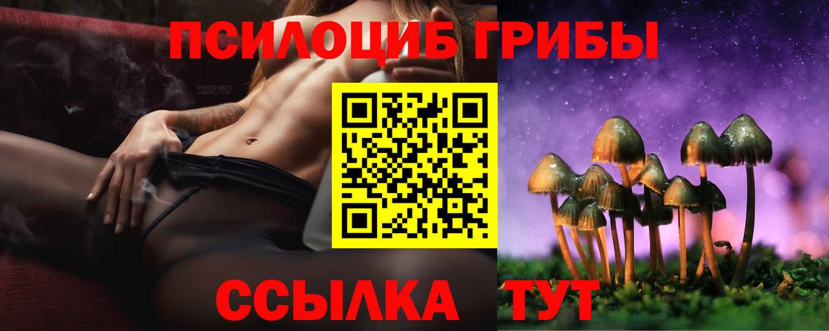Корсаков  Галлюциногенные грибы Psilocybe  Вход с VPN 